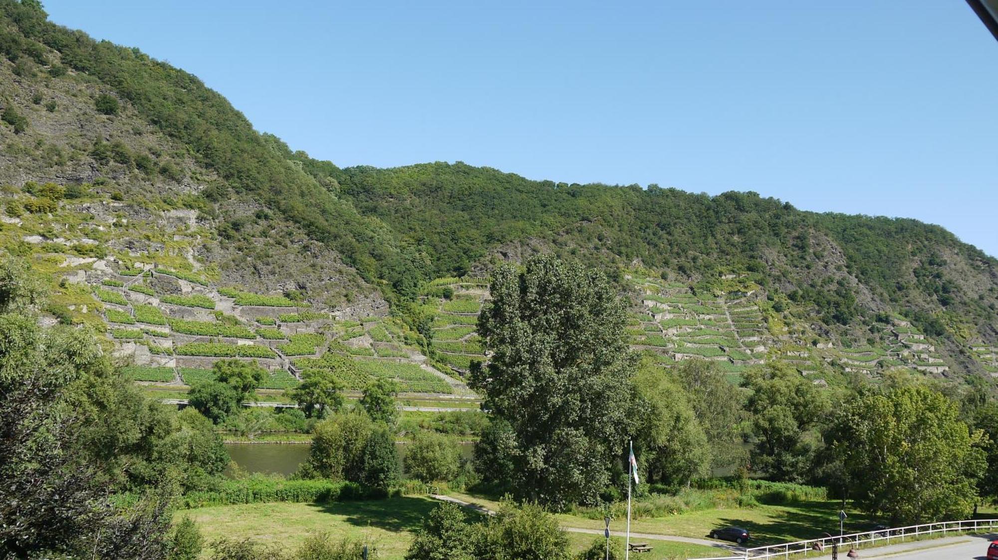 Hotel-Garni-Kachelburg Dieblich Dış mekan fotoğraf