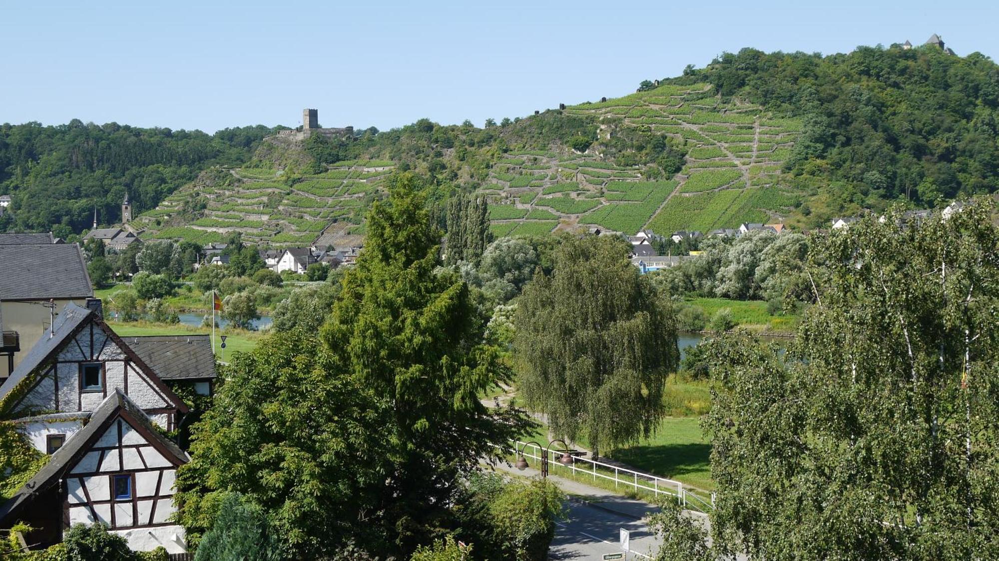 Hotel-Garni-Kachelburg Dieblich Dış mekan fotoğraf
